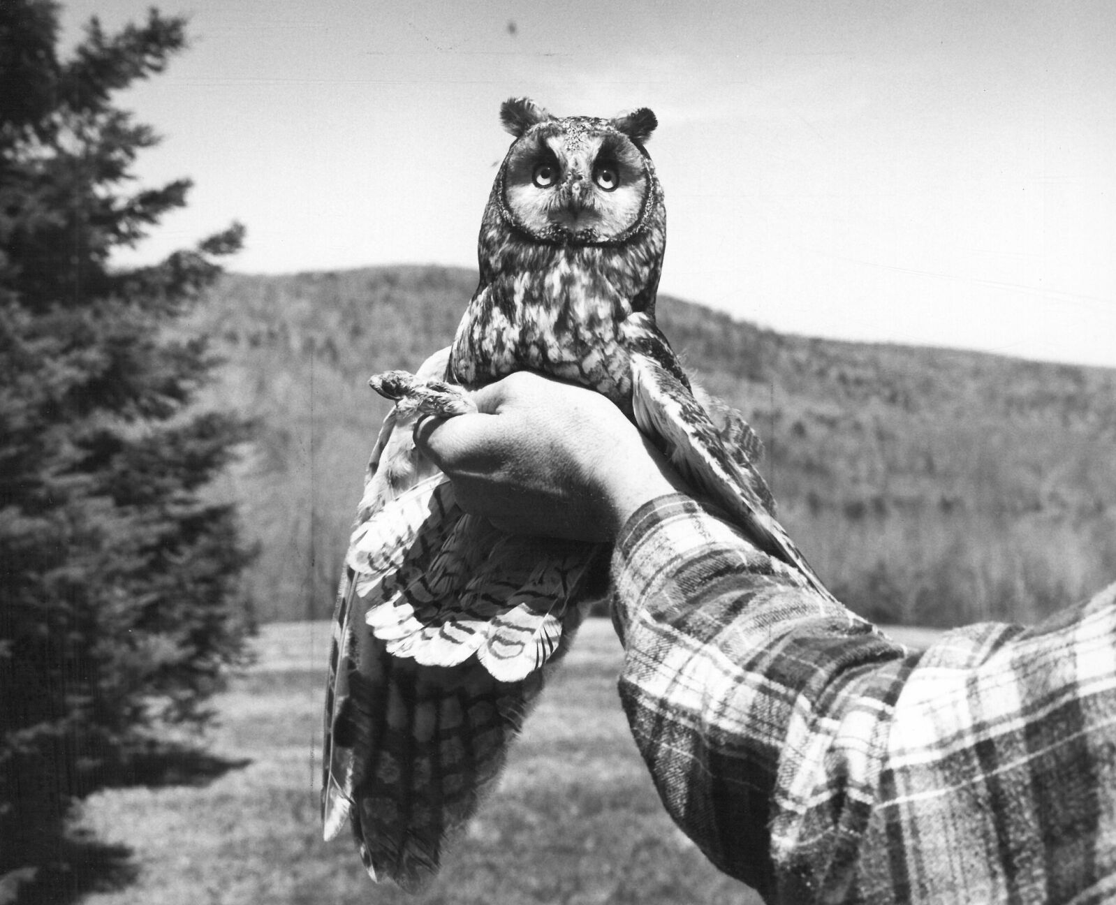 May 1959